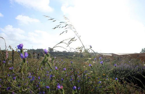 Entre Vinhas & Mar - Foto 101