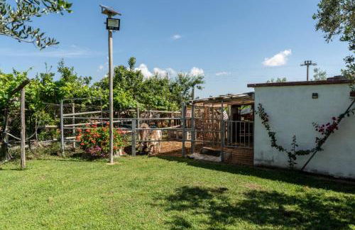 Angelo's Country House - Foto 15
