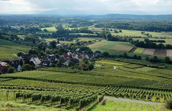 Family-friendly Apartment - Foto 39