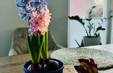 gemütliche Ferienwohnung mit Garten - Foto 1