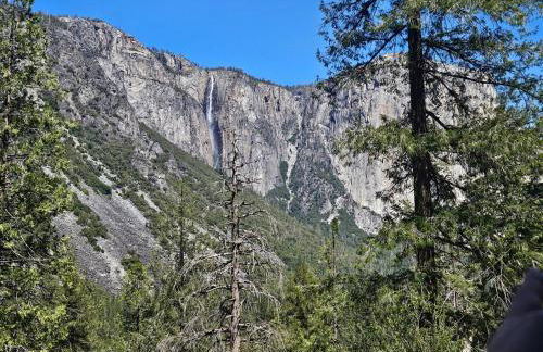 La Dolce Villa Pond Retreat in Yosemite - Foto 9