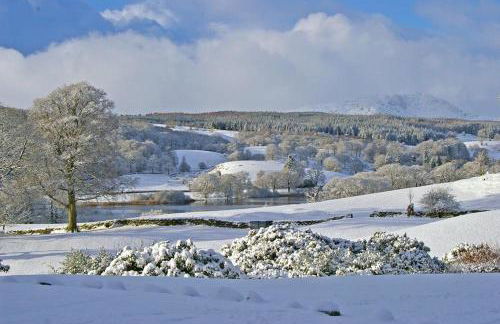 Lakefield Cottage - Foto 11