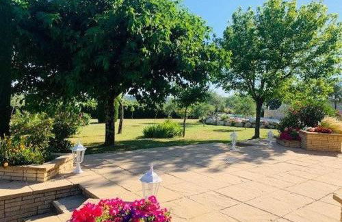 Les Hauts de Cassagnas - Photo 8