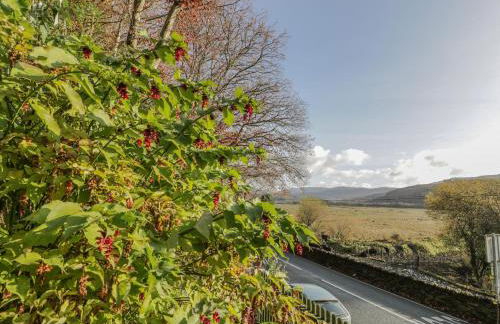 Bryn Melyn Artist's Cottage - Foto 16