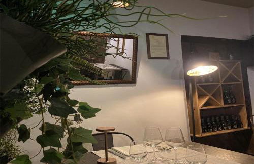 Rent House Scauri - Foto 14