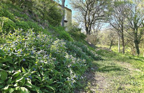 Magnifique ferme rénovée et sa piscine écologique - 15 personnes - 7 chambres - Foto 36