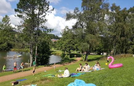 Ferienwohnungen Am Skilift - Foto 64