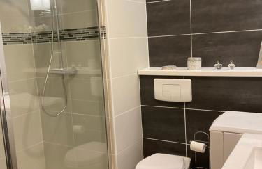 Studio-Champagne Lanson-Proche Hôpitaux-Universités-Parc Léo Lagrange - Foto 21