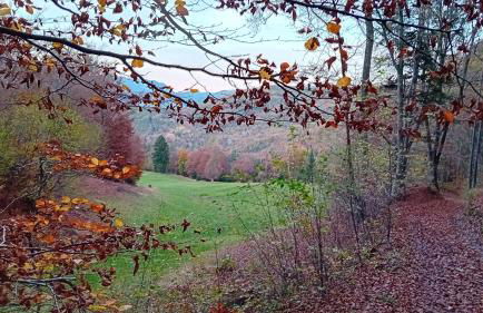 Cà sul dos - Foto 57