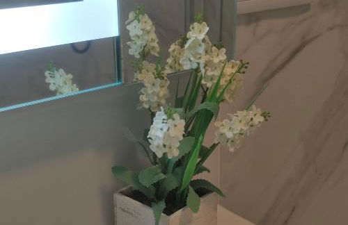 Apartamento Graviña - Foto 29