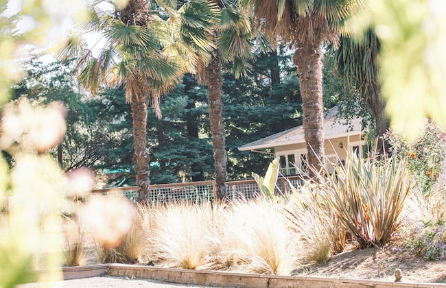 Zegarra Estate - Foto 74