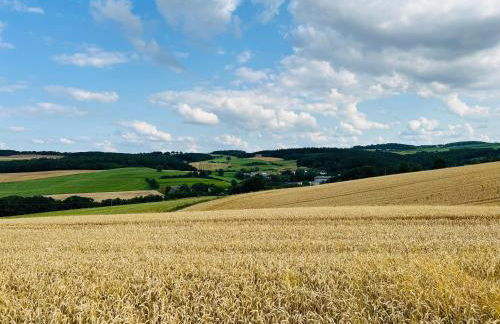Ferienwohnung in der schönen Eifel! - Photo 14
