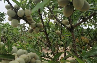 Alojamiento rural Masía Valldepérez - Foto 39