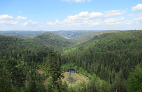 Ferienwohnung Schönmünzblick - Photo 63