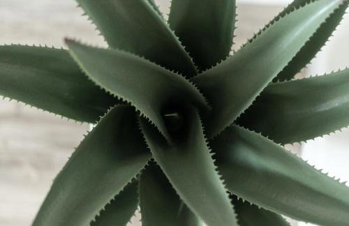 Stunning Views + Hot Tub + Location! 3 bed/3 bath - Foto 7