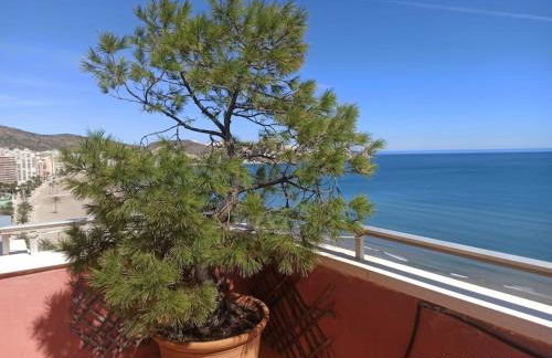 Espectacular terraza y vistas en 1a línea de playa - Foto 11