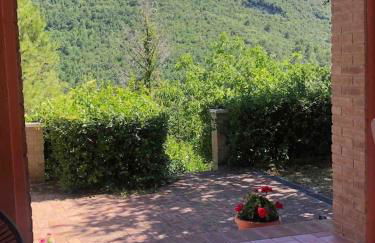 Forca de Cerro - Photo 16