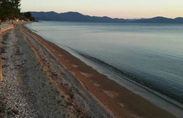 Almira Kalamos - Foto 33