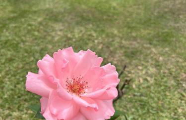 Chácara Casa Amarela - estrutura completa de lazer - ambientes elegantes e exclusivos - campo de futebol e bocha - piscina - lareiras - 10 min Rota do Vinho - Foto 36