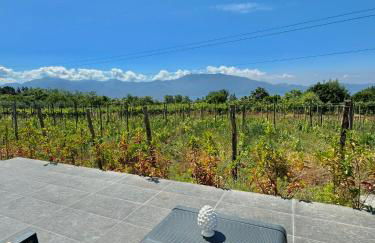 La Pergola Vesuviana - Foto 3