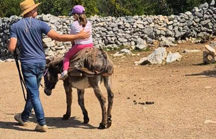 Villa Suzi - Family Farm Stay with Donkeys, Pool and Sea View near Rijeka - Photo 5