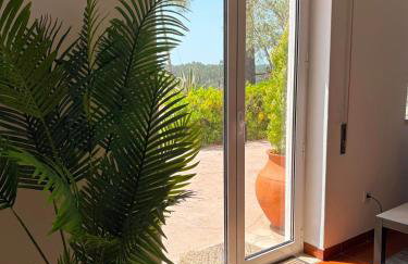 Quinta Vale da Paz - Foto 30