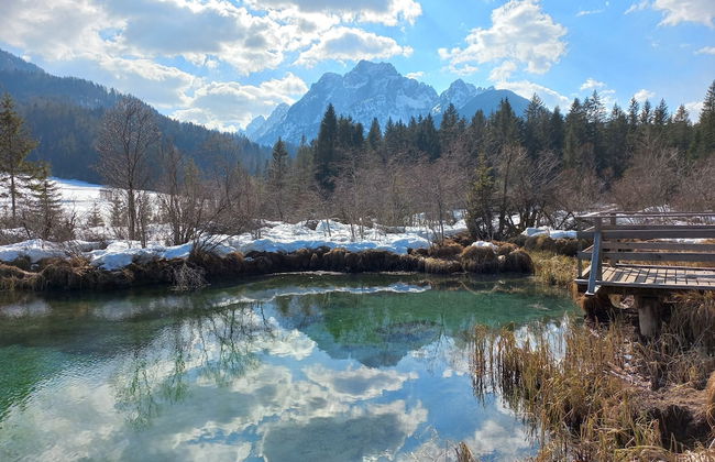 Apartments Jakelj - Foto 19