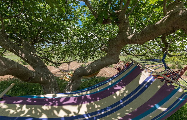 Le Cernicole - Foto 29