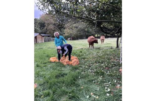 Holiday Home Am Beulskopf - Foto 51