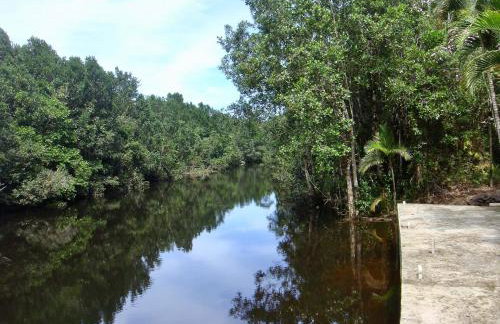 Casa Enorme para 12 pessoas, 4 suites e um fundo com 18mil metros de mata e um pier no rio que sai para o mar-Internet 100MB - Photo 41