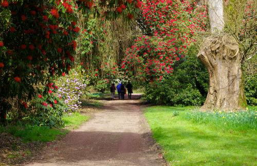 Orchard Cottage - Uk12525 - Foto 15