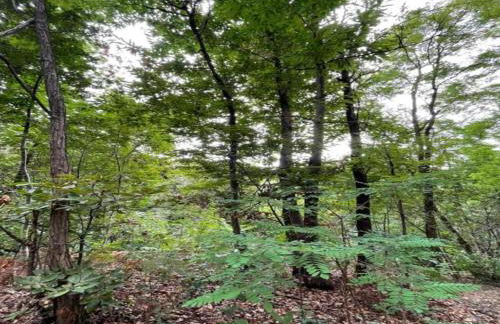 Modern Farmhouse in Pagnano Italy Near Forest - Foto 30