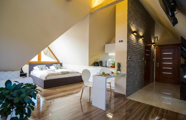 Apart-Center Zakopianskie Tarasy Spa - Photo 52