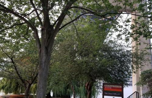 Tech, Travelling Nurse, UW, Seattle Lake Union, SU - Foto 9