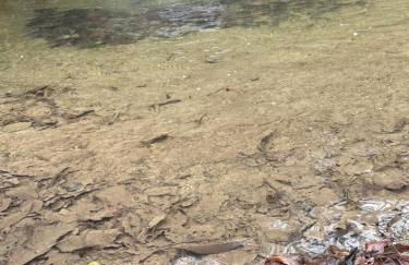 Maison de village - Foto 14