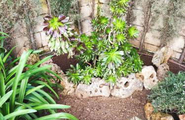 Alojamientos Rurales La Esperanza - Foto 29