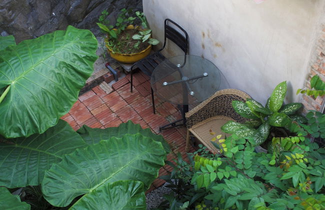 oc homestay CAT BA - Foto 29