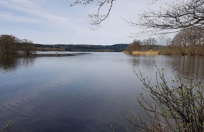 Tranquil Lakeside Retreat in Ry-by Traum - Foto 41