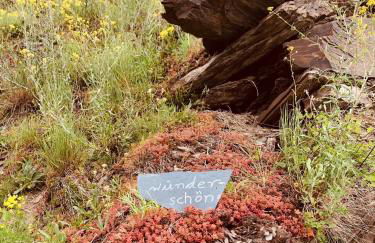 Gemütliche Ferienwohnung "Eifel - Moselhöhe", Nähe Pyrmonter Felsensteig - Foto 12