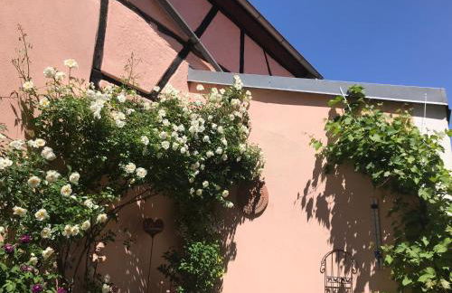 Haus am Markt - Foto 23