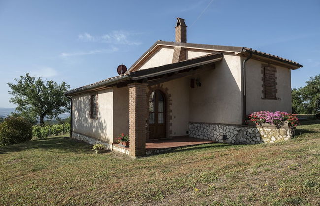 Agriturismo Belvedere Pierini e Brugi - Foto 16