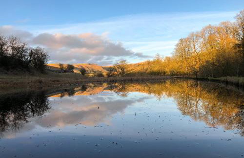 The Engine Room - Photo 45