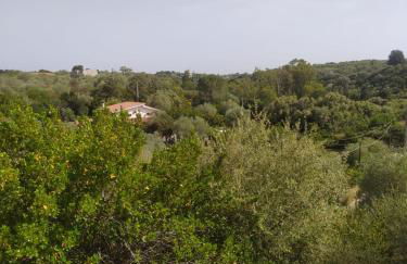 Casa Olea - Photo 39