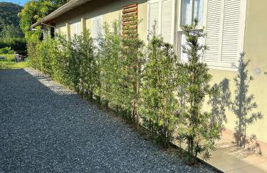 Cantinho da nona Nova Trento SC - Foto 5