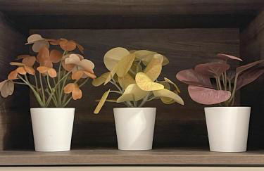 La Rosa del Lago - Foto 47