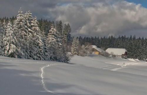 Petras Ferienwohnung - Foto 11