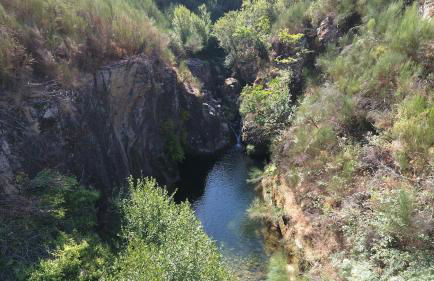 Casa do Carvalhal - Foto 56