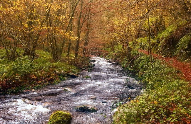 LA Nana DEL MAR Flat on the old Port of Cudillero - Photo 45