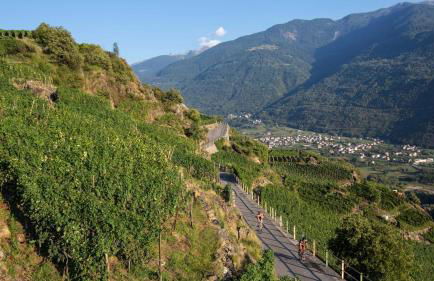 Agriturismo Terra del Sole - Foto 63