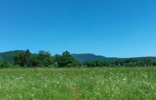 Gite Le Sapin - Photo 29